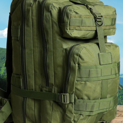 Collection image for: Backpacks