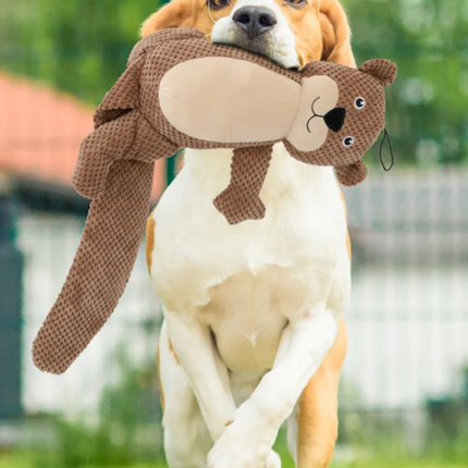 Collection image for: Dog Toys