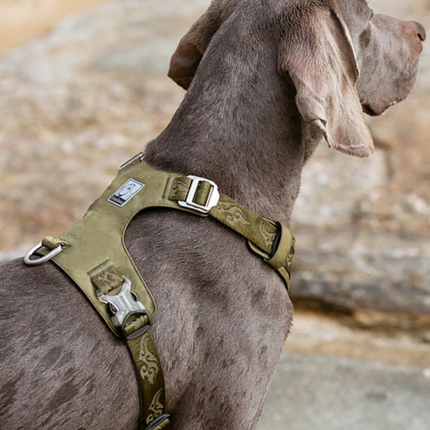 Collection image for: Dog Harnesses