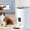 Pet Bowls & Auto Feeders