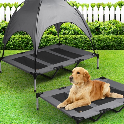 Collection image for: Pet Trampoline