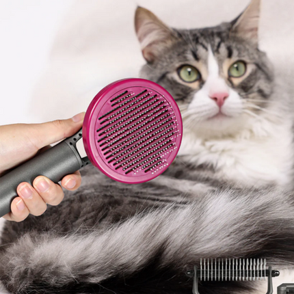 Collection image for: Other Pet Supplies