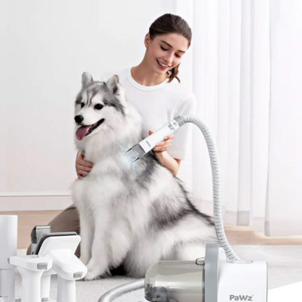 Collection image for: Pet Grooming