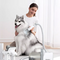 Pet Grooming