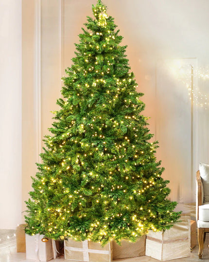 Christmas Trees