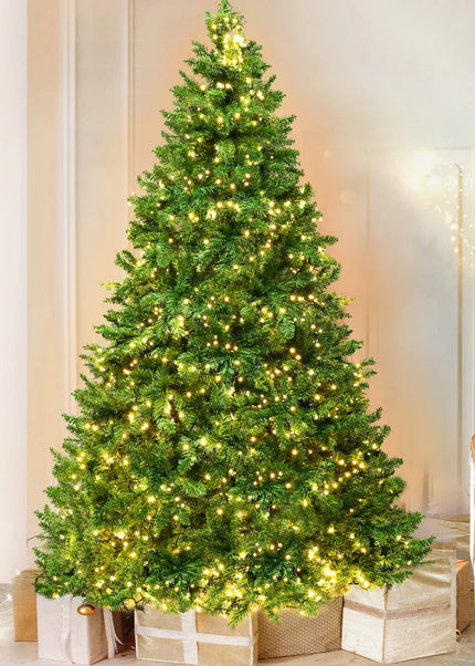Collection image for: Christmas Trees