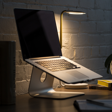 Collection image for: Computer & Laptop Gaming Desks