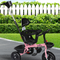 Kids Toys & Furniture