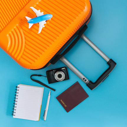 Collection image for: Travel Accessories