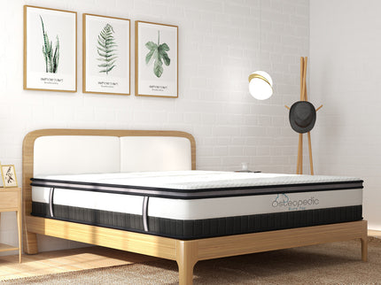 Osteopedic Euro Top Pocket Spring Mattress - Single-1917365880409427972