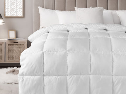 Royal Comfort 800GSM Silk Quilt - Double-1911653846833303553