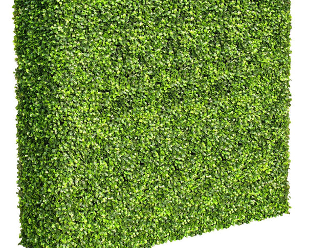 Mixed Boxwood Hedge UV Resistant 100cm Long x 100cm High
