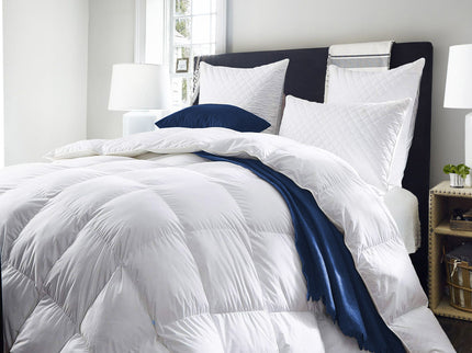 Royal Comfort 800GSM Silk Quilt - Double-1911653846833303552