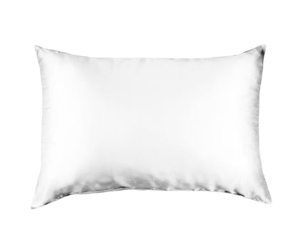 Pure Silk Pillow Case by Royal Comfort-White-1889884798642688000