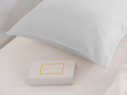 Pure Silk Pillow Case by Royal Comfort-Silver-1889884798940483586