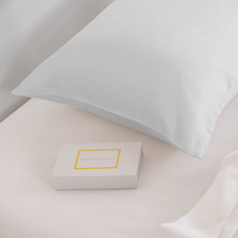 Pure Silk Pillow Case by Royal Comfort-Silver-1889884798940483586