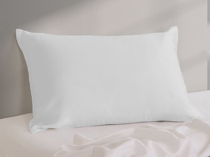 Pure Silk Pillow Case by Royal Comfort-Silver-1889884798940483587