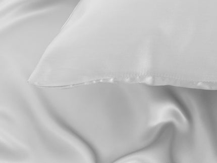 Pure Silk Pillow Case by Royal Comfort-Silver-1889884798940483591