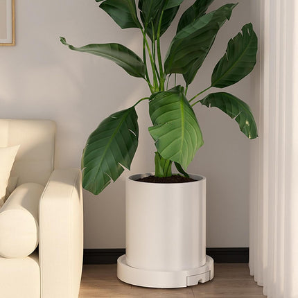 CARLA HOME Rolling Plant Stand with 360° Wheels for Indoor Pots (26 cm)-2050057504708235265