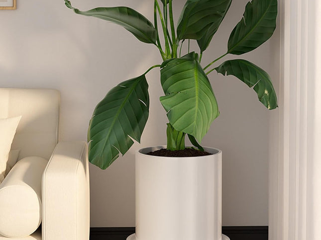 CARLA HOME Rolling Plant Stand with 360° Wheels for Indoor Pots (26 cm)-2050057504708235265