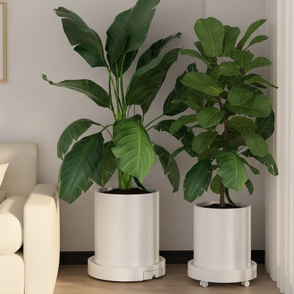 CARLA HOME 2-Pack Rolling Plant Stand with 360° Wheels for Indoor Pots (26 cm)-2050057504876007425