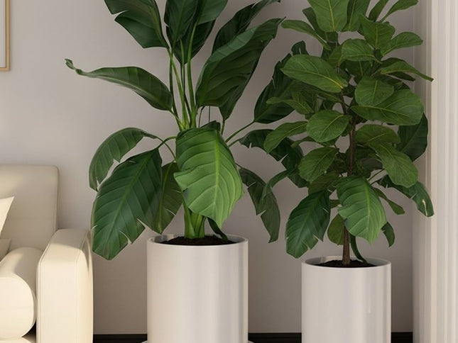 CARLA HOME 2-Pack Rolling Plant Stand with 360° Wheels for Indoor Pots (26 cm)-2050057504876007425