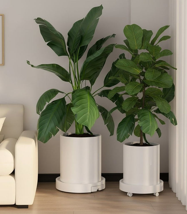 CARLA HOME 2-Pack Rolling Plant Stand with 360° Wheels for Indoor Pots (26 cm)-2050057504876007425