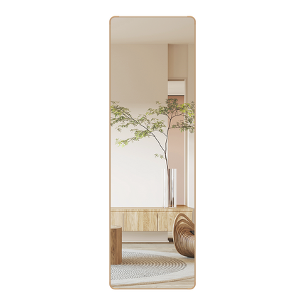 Yezi 120cm Wall Mounted Full Length Mirror Door Hanging-1973193505610272776