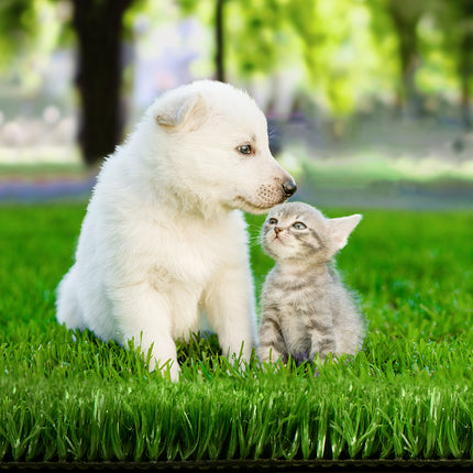 Prime Turf Artificial Grass 2mx5m 10mm Synthetic Fake Lawn Turf Plant Plastic Olive