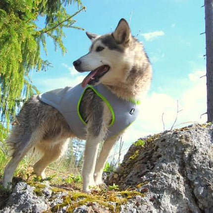 True Love Cooling Vest - Yellow, L-1962324892389085188