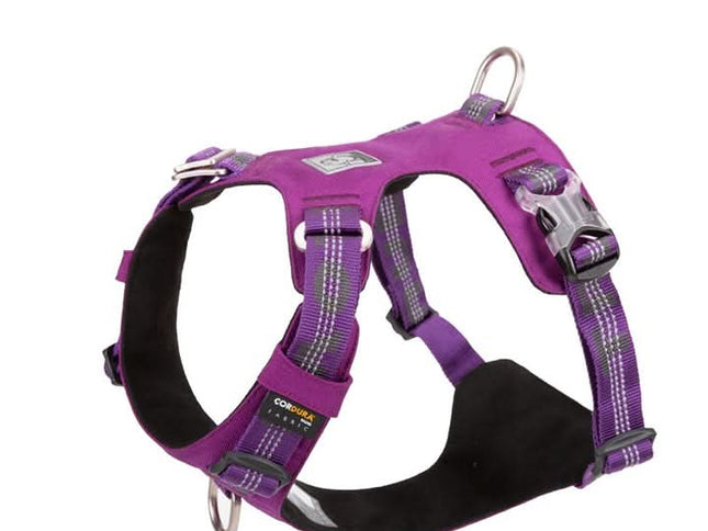 True Love Lightweight Reflective Harness - Purple, XL-1831155640869982210