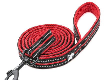 True Love Reflective Pet Leash 2m - Red, S-1831155648914657281