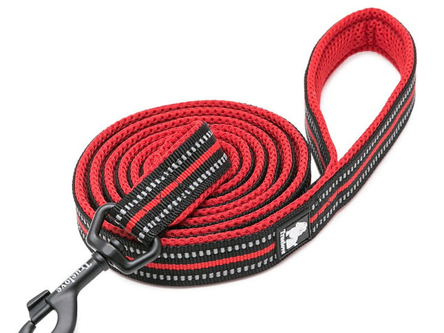 True Love Reflective Pet Leash 2m - Red, XS-1831155648755273729