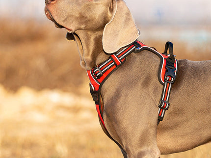 True Love No Pull Explosion Proof Dog Harness - Red, M-1831155634750492678