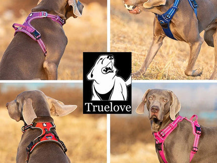 True Love No Pull Explosion Proof Dog Harness - Orange, M-1831155635618713603