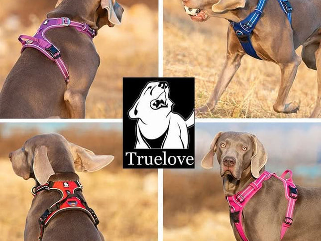 True Love No Pull Explosion Proof Dog Harness - Royal Blue, S-1831155630778486786