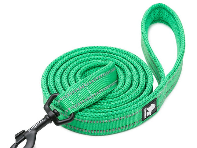 True Love Reflective Pet Leash 2m - Green, XS-1831155647241129985