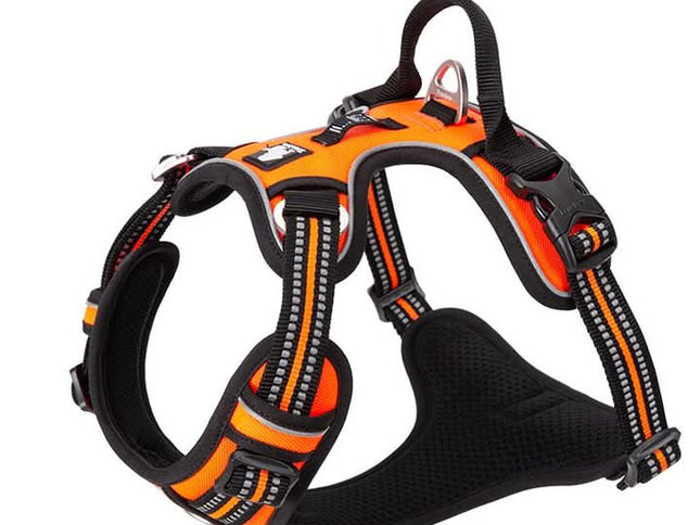True Love No Pull Explosion Proof Dog Harness - Orange, XL-1831155629016879106