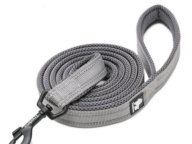 True Love Reflective Pet Leash 2m - Grey, S-1831155646884614144