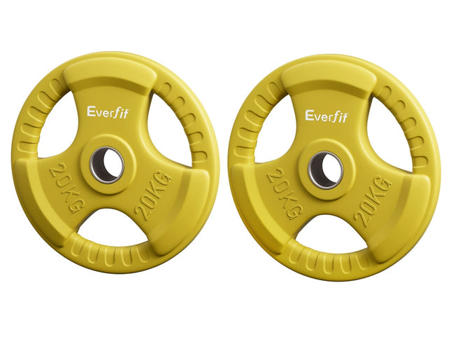 Everfit Weight Plates Olympic 20kgx2 Dumbbell Barbell Plate Weight Lifting Home Gym Yellow
