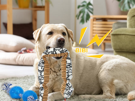 PaWz Dog Chew Toys Squeaky Puppy Pet-1864184547533524998
