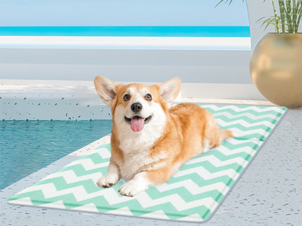 Pawz Pet Cooling Mat M Green-1910112256318902278
