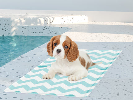 Pawz Pet Cooling Mat S Blue-1910112256637669382