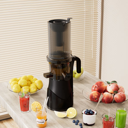 Spector Juicer Cold Press Vegetable Fruit Juice-1973193529261953030