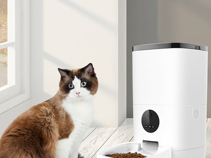 PaWz 6L Auto Feeder Pet Automatic Camera-1864184513605799942