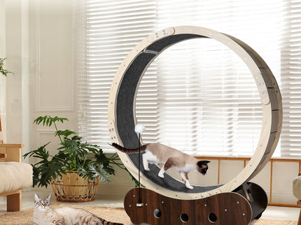 PaWz Cat Exercise Wheel Running Treadmill-1864184545113411590