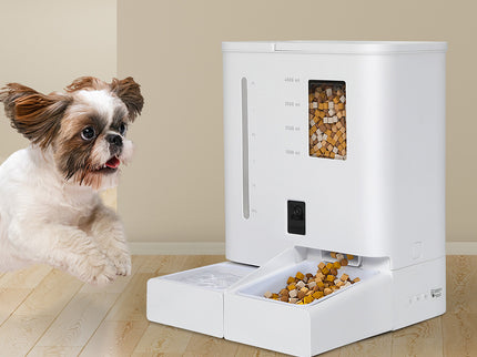 Pawz 2-in-1 Automatic Pet Cat Dog Feeder Water Set-1954802478805553158