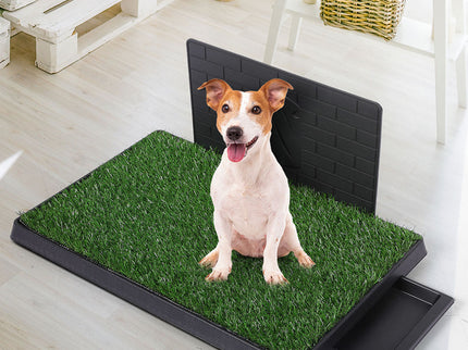 PaWz Indoor Dog Pet Grass Potty Training L-1886651039382376454