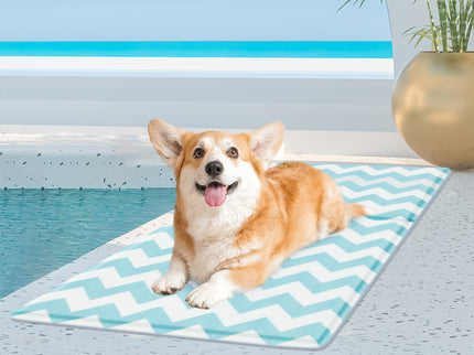 Pawz Pet Cooling Mat M Blue-1910112256004329478