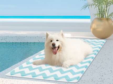 Pawz Pet Cooling Mat L Blue-1910112255236771846